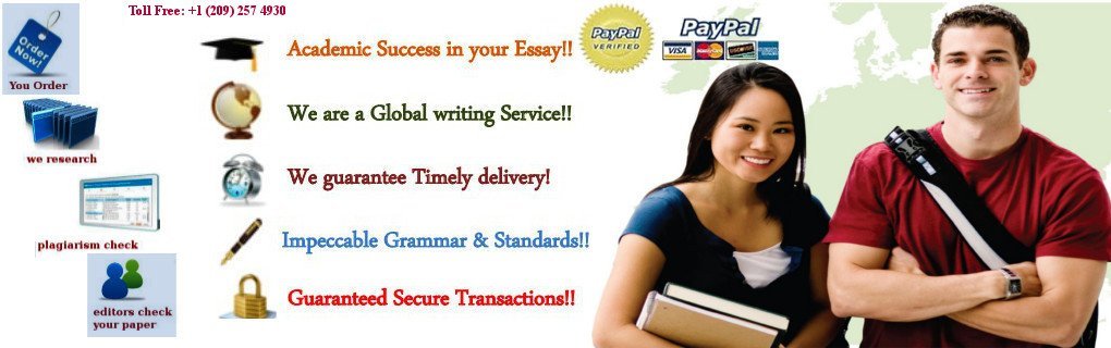 Cheap custom term papers